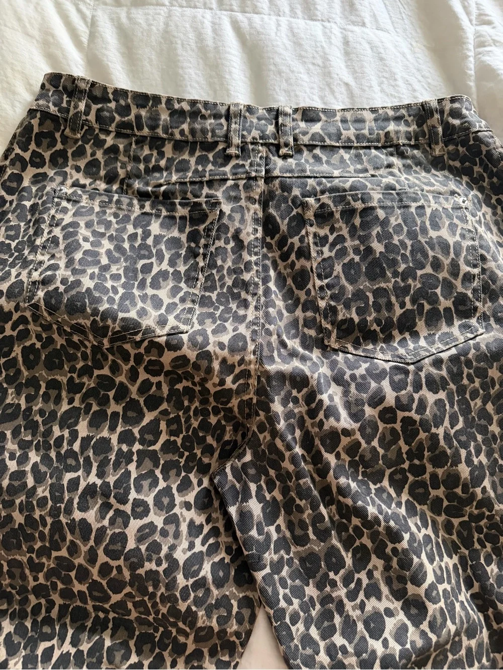 Leopard Print Wide Leg Pants, NWOT